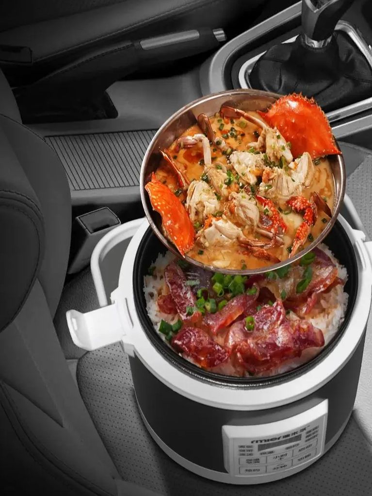 ARIER 12-24V 220V Rice Cooker  - Camping Cooking Cylinder 评论和价格